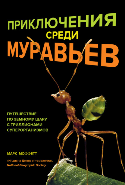 Приключения среди муравьев