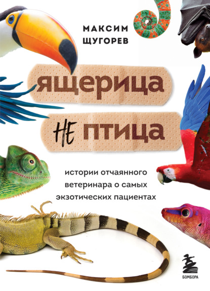 Ящерица не птица