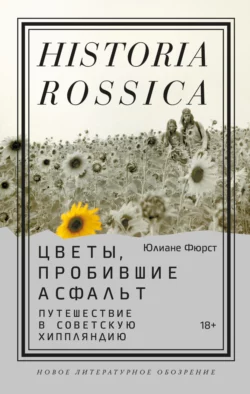 Цветы, пробившие асфальт