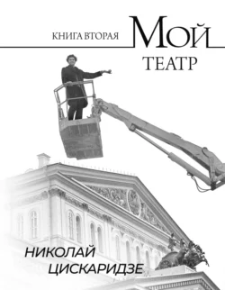 Николай Цискаридзе «Мой театр. По страницам дневника. Книга II» скачать бесплатно