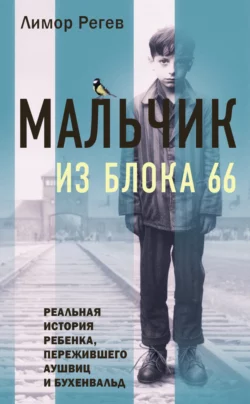Мальчик из Блока 66