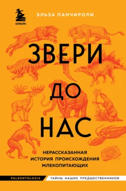 Звери до нас