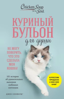 Куриный бульон для души. Не могу поверить, что это сделала моя кошка!