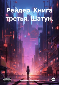 Рейдер. Книга третья. Шатун