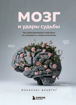Мозг и удары судьбы