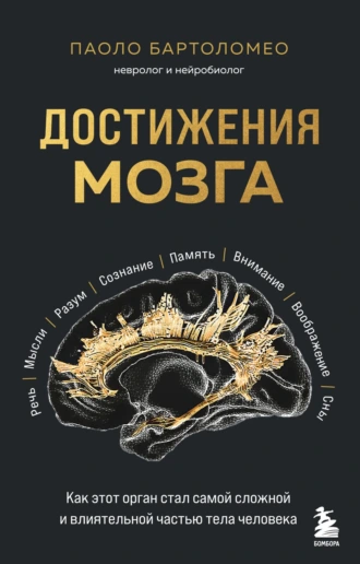 Достижения мозга