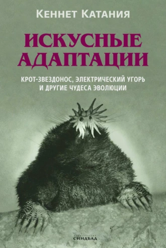 Искусные адаптации