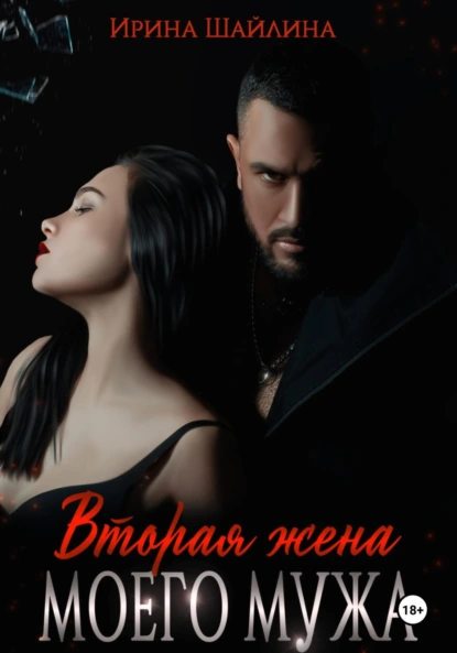 Ирина Шайлина «Вторая жена моего мужа» скачать бесплатно