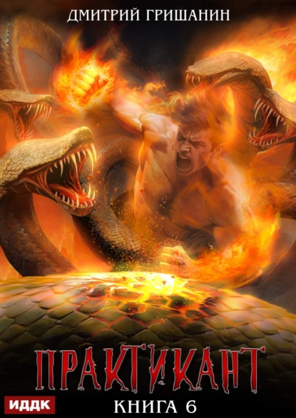 Дмитрий Гришанин «Практикант. Книга 6» скачать бесплатно