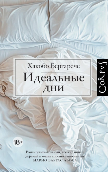 Хакобо Бергарече «Идеальные дни» скачать бесплатно