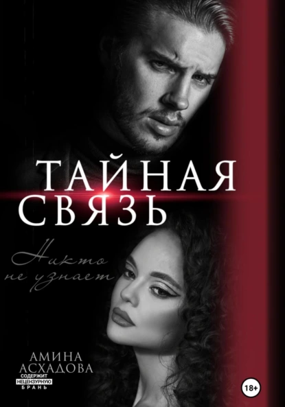 Амина Асхадова «Тайная связь» скачать бесплатно