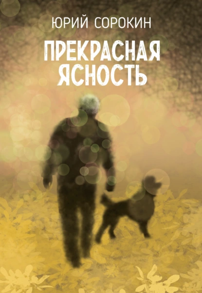 Юрий Сорокин «Прекрасная ясность» скачать бесплатно