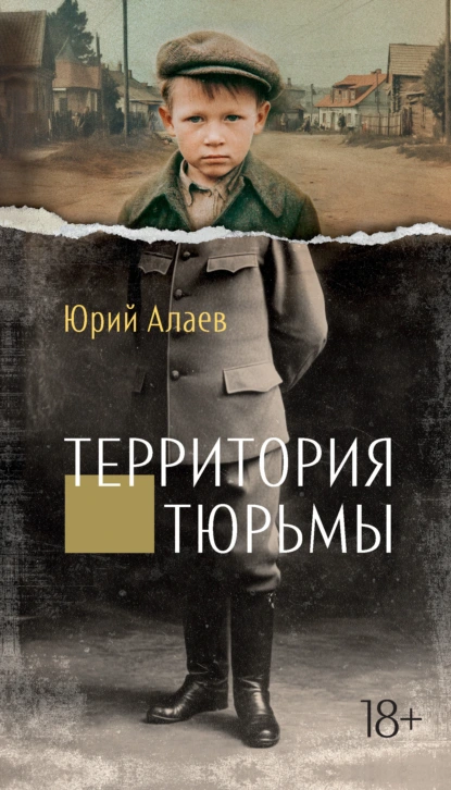 Юрий Алаев «Территория тюрьмы» скачать бесплатно