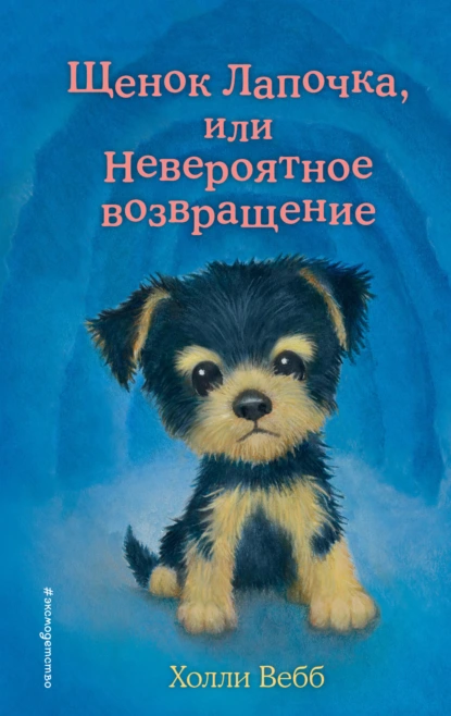 Холли Вебб «Щенок Лапочка, или Невероятное возвращение» скачать бесплатно