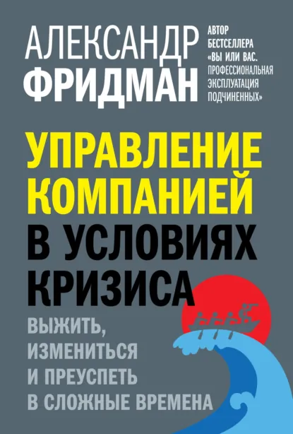 Александр Фридман «Управление компанией в условиях кризиса» скачать бесплатно