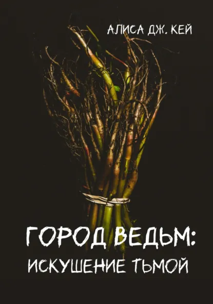 Алиса Дж. Кей «Вернигероде – город ведьм: искушение тьмой» скачать бесплатно