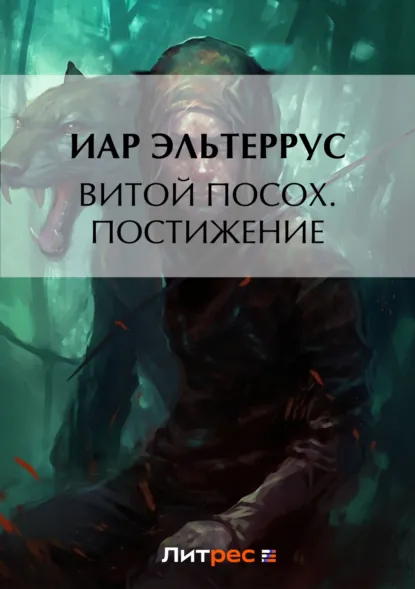 Иар Эльтеррус «Витой Посох. Постижение» скачать бесплатно